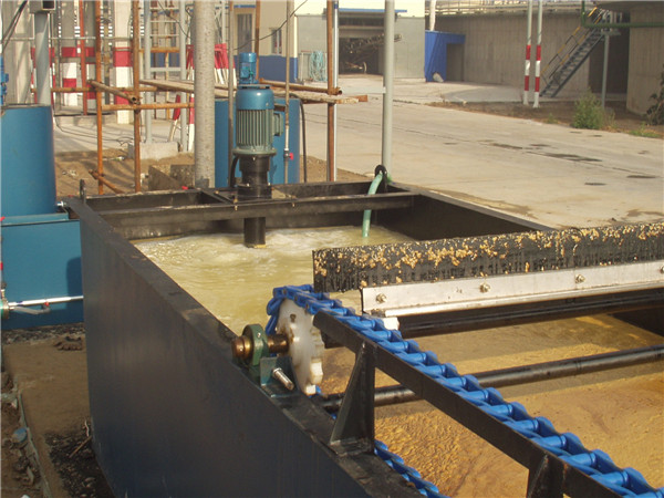 1665552393600336.jpg 1.jpg