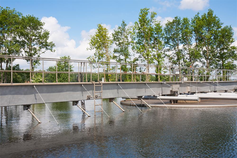 1665567044415600.jpg dg.jpg